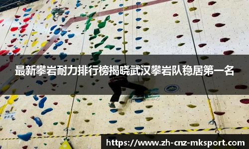 MK体育官方网站